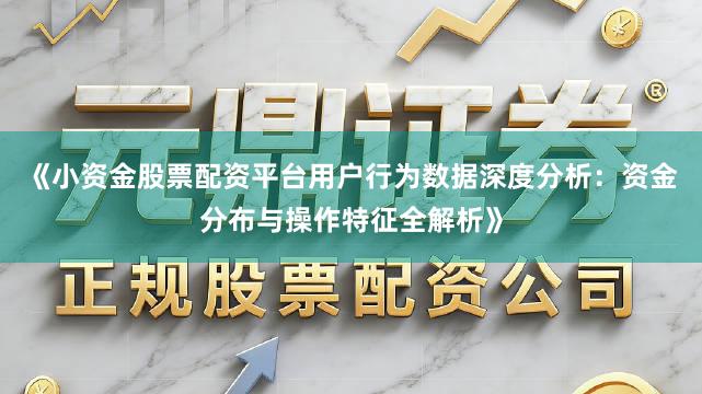 《小资金股票配资平台用户行为数据深度分析：资金分布与操作特征全解析》