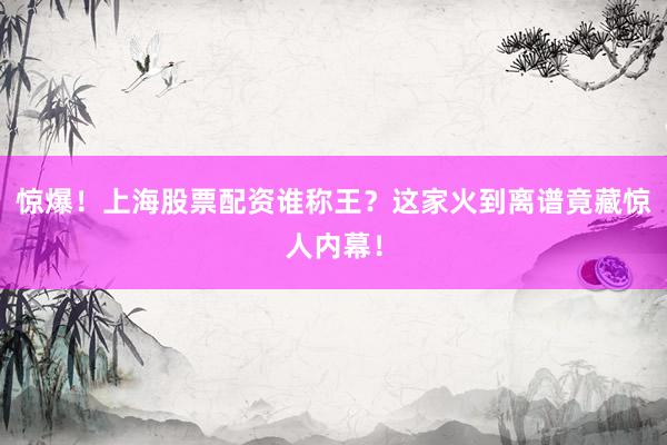 惊爆！上海股票配资谁称王？这家火到离谱竟藏惊人内幕！