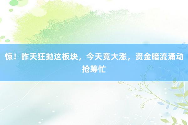 惊！昨天狂抛这板块，今天竟大涨，资金暗流涌动抢筹忙