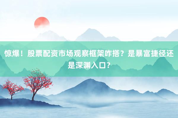 惊爆!股票配资市场观察框架咋搭?是暴富捷径还是深渊入口?