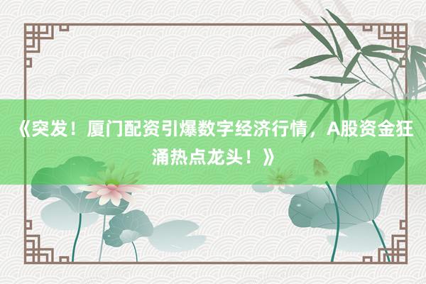 《突发！厦门配资引爆数字经济行情，A股资金狂涌热点龙头！》