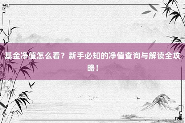 基金净值怎么看？新手必知的净值查询与解读全攻略！