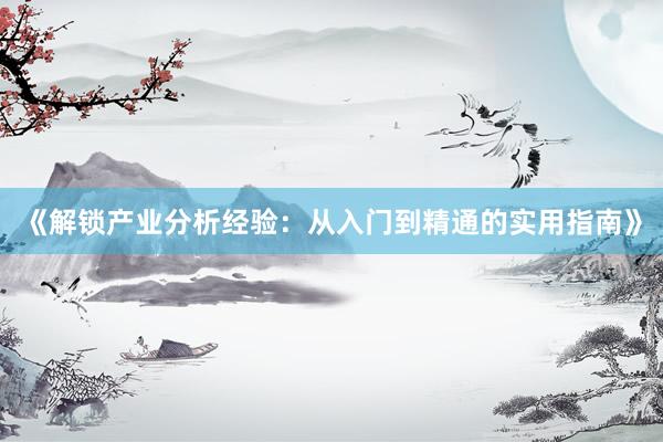 《解锁产业分析经验：从入门到精通的实用指南》