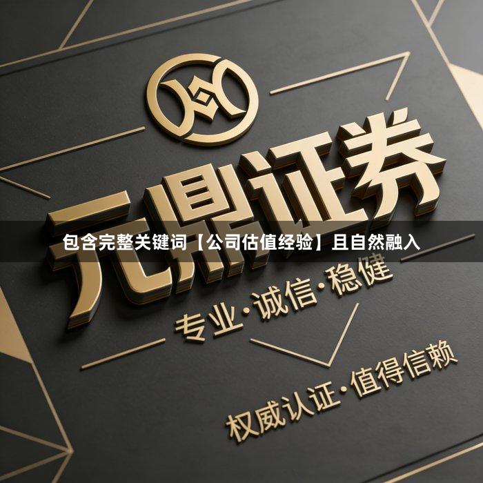 包含完整关键词【公司估值经验】且自然融入