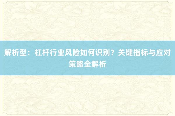 解析型：杠杆行业风险如何识别？关键指标与应对策略全解析