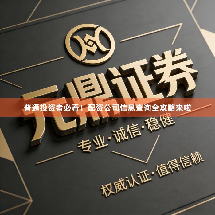 普通投资者必看！配资公司信息查询全攻略来啦
