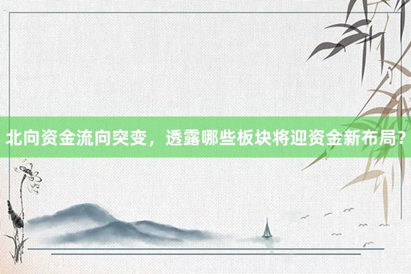 北向资金流向突变，透露哪些板块将迎资金新布局？
