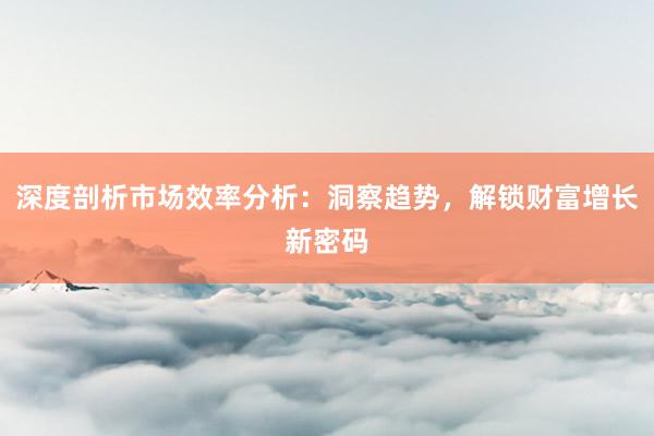 深度剖析市场效率分析：洞察趋势，解锁财富增长新密码