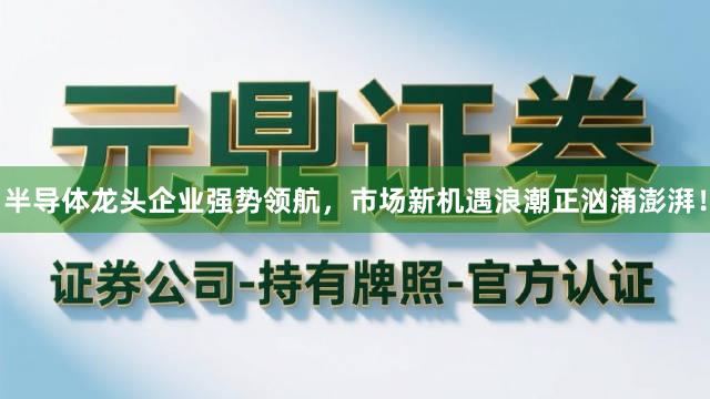 半导体龙头企业强势领航，市场新机遇浪潮正汹涌澎湃！