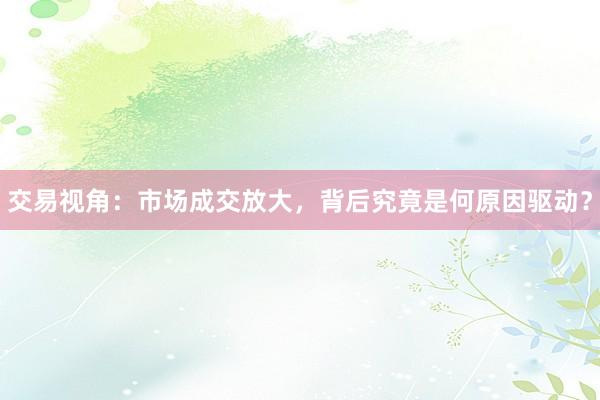交易视角：市场成交放大，背后究竟是何原因驱动？