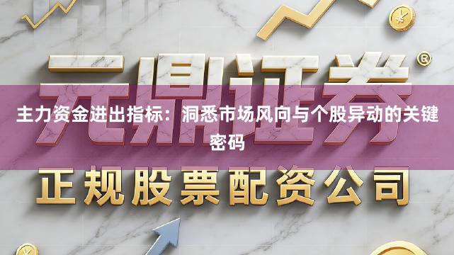 主力资金进出指标：洞悉市场风向与个股异动的关键密码