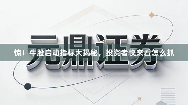 惊！牛股启动指标大揭秘，投资者快来看怎么抓